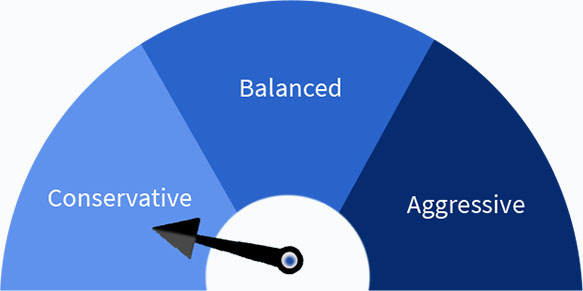 Financial Risk Meter